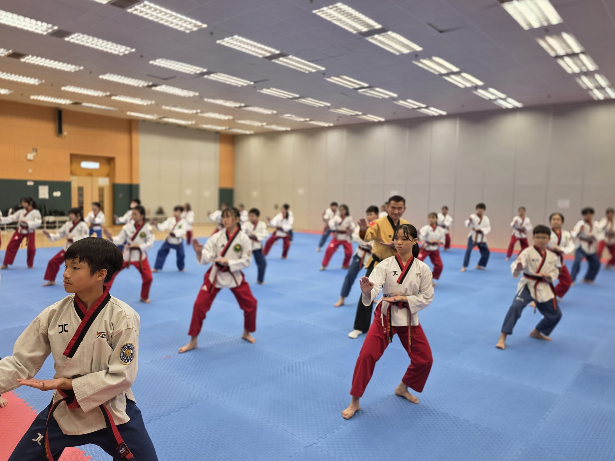 Poomsae Training Session