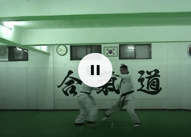 GM Kim performs Hapkido techniques