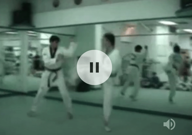 GM Kim trains Hapkido & Taekwondo